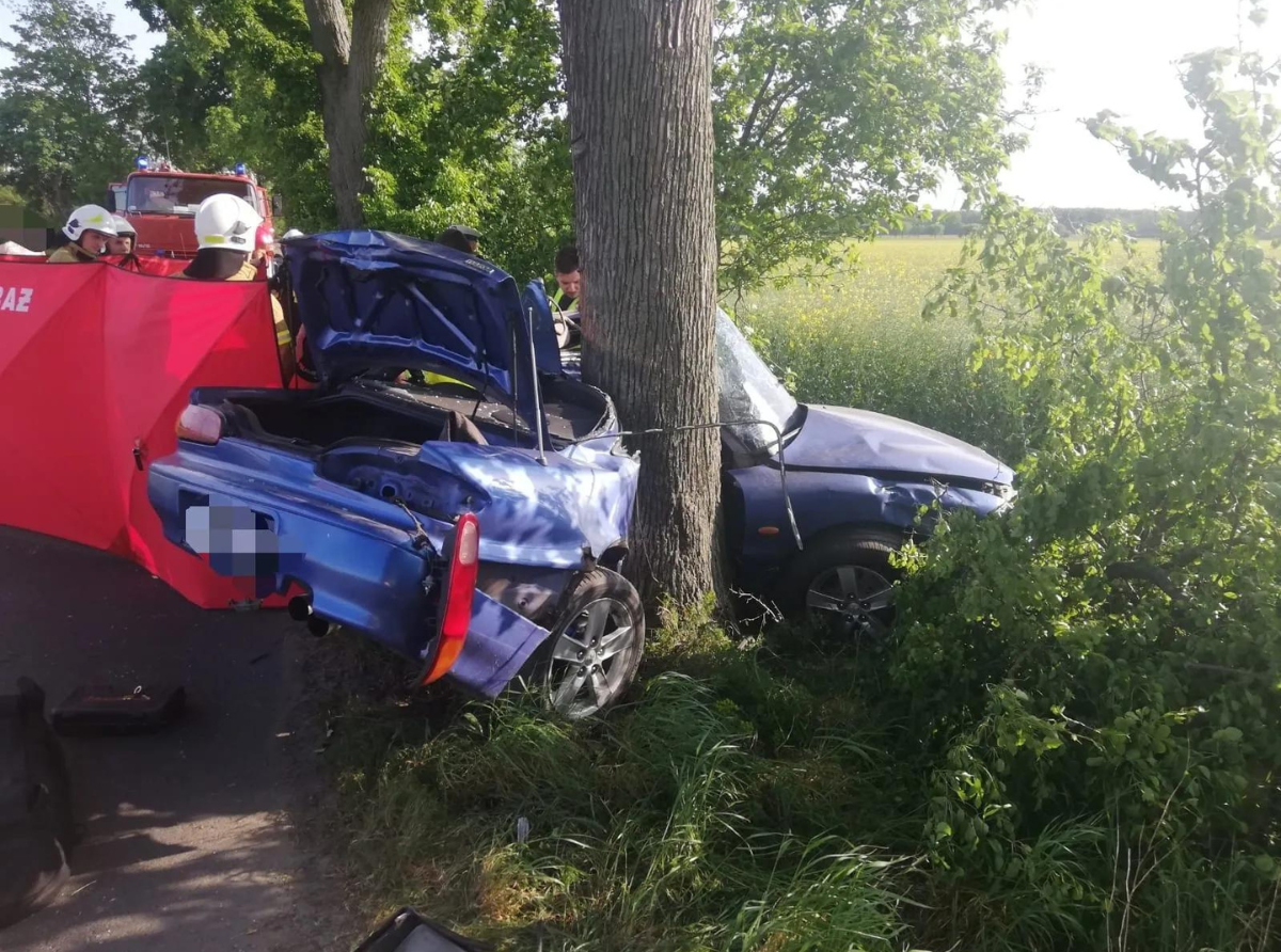 Śmiertelny wypadek na drodze między Turwią i Starym Gołębinem