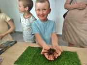 dzien-dziecka-pelen-emocji-stadion-w-koscianie-zamienil-sie-w-kraine-przygod-53