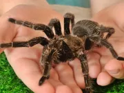 dzien-dziecka-pelen-emocji-stadion-w-koscianie-zamienil-sie-w-kraine-przygod-54