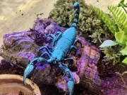 dzien-dziecka-pelen-emocji-stadion-w-koscianie-zamienil-sie-w-kraine-przygod-57