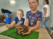 dzien-dziecka-pelen-emocji-stadion-w-koscianie-zamienil-sie-w-kraine-przygod-62